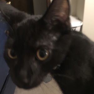 Meet your Posher, Marc